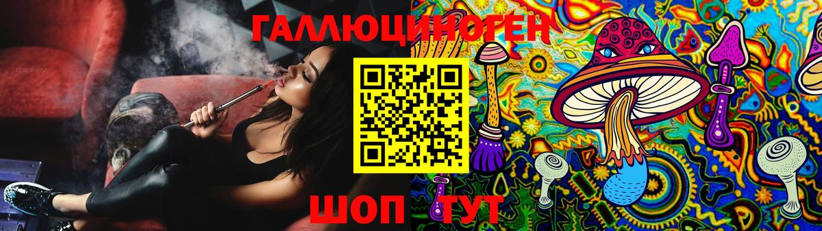 Псилоцибиновые грибы Psilocybine cubensis Зеленокумск